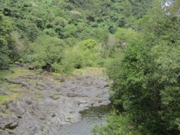 Visite de la petite cousine !